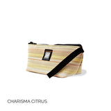 Cosmetic Bag